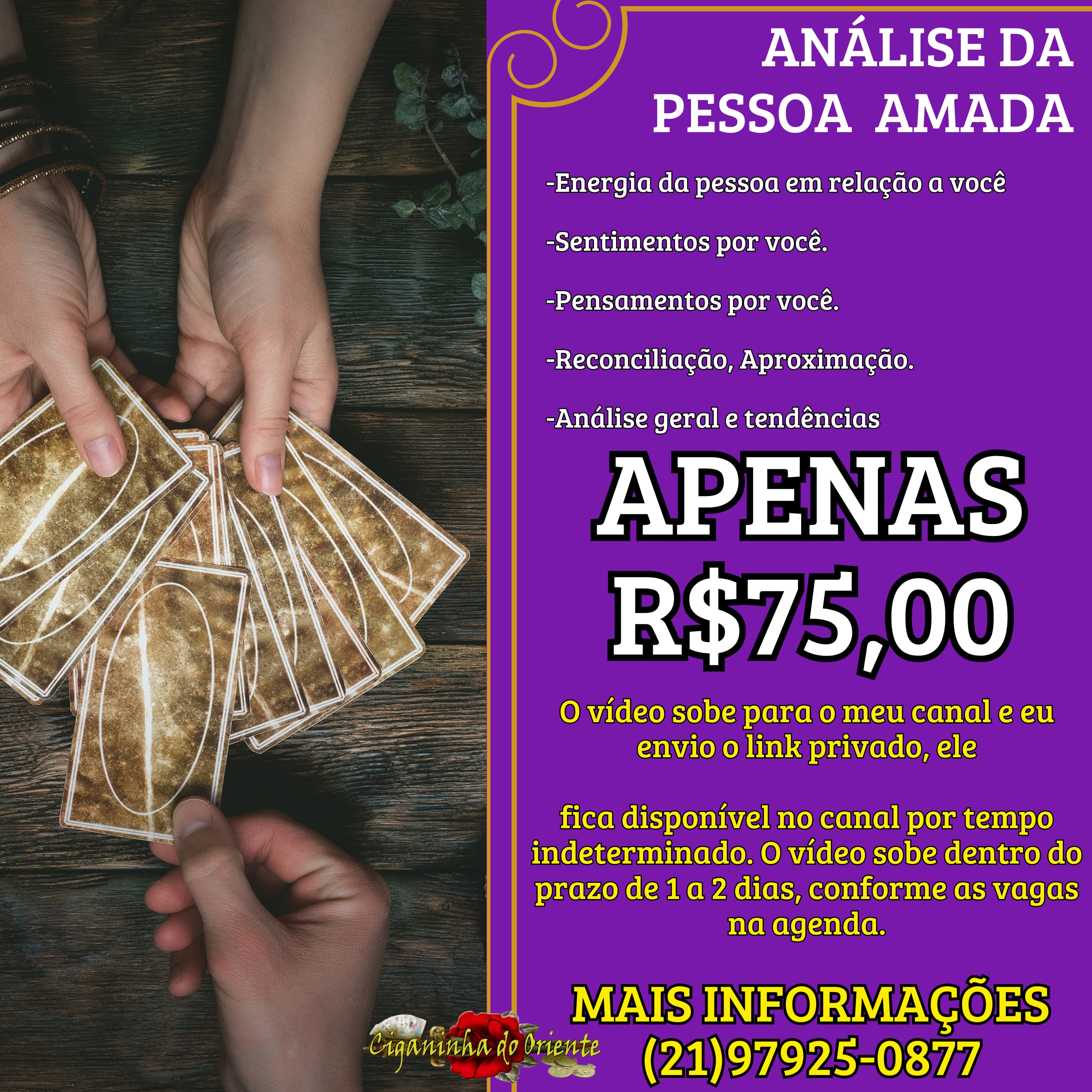 Imagem 3